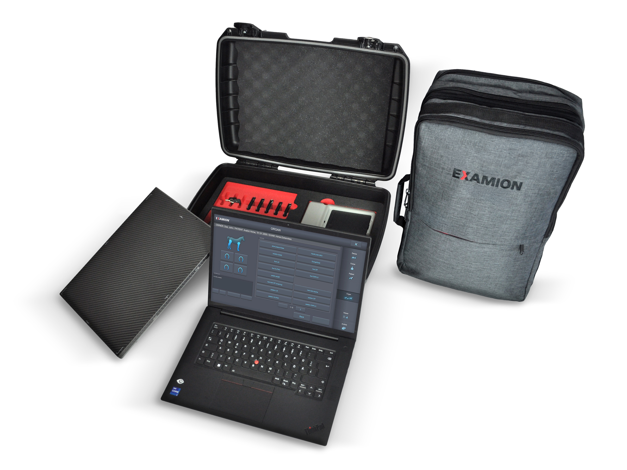 x dr portable case m+ equine Übersicht