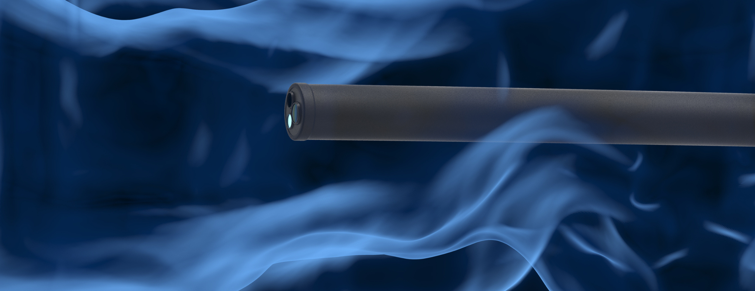 Quelles pathologies est-il possible de détecter grâce à l&rsquo;endoscopie vétérinaire ? 