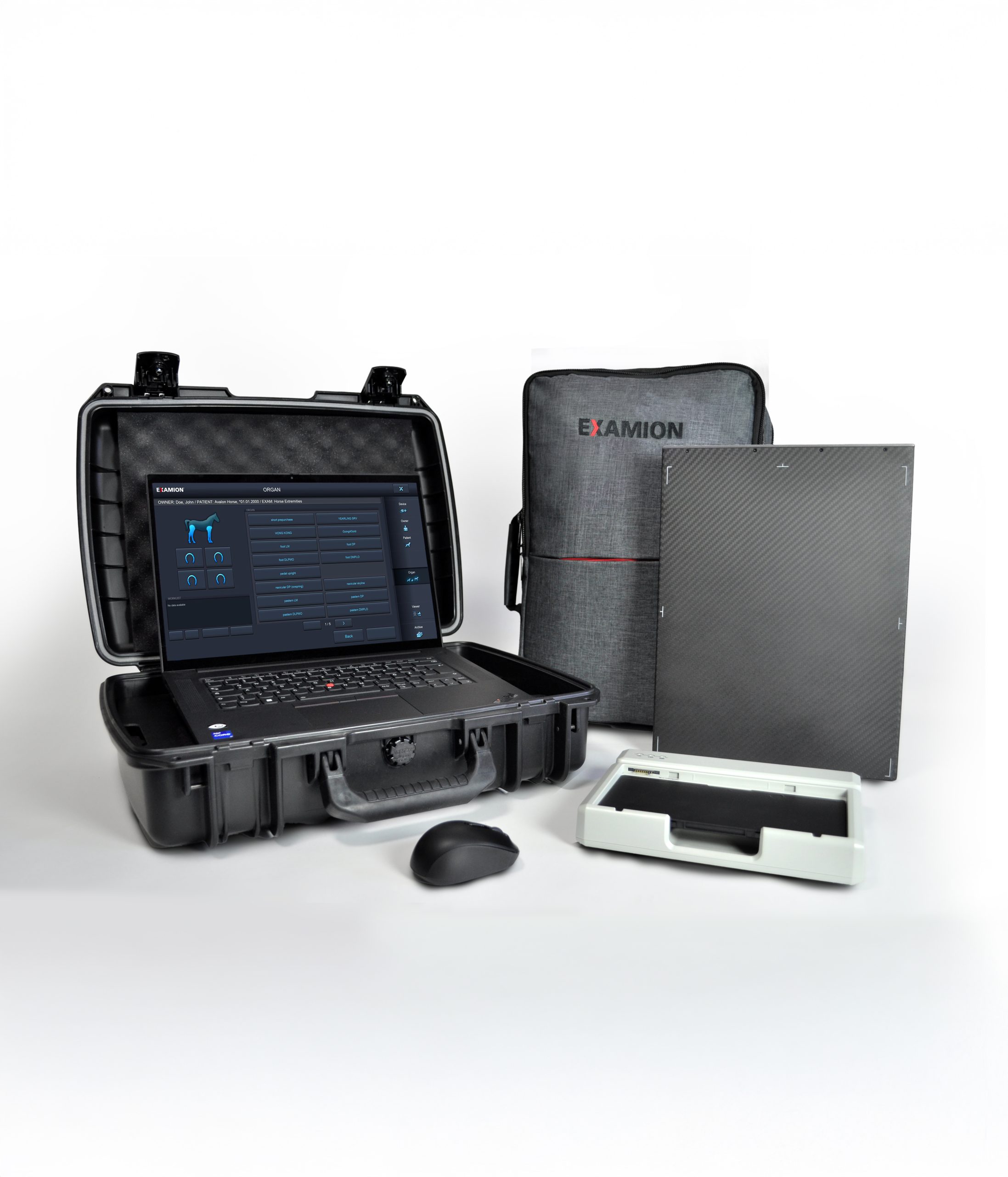 x dr portable case m+ equine mit ladegerät hoch