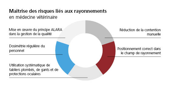 infografik strahlenbelastung
