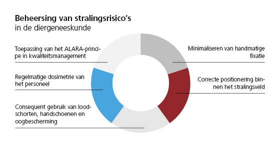 infografik strahlenbelastung2